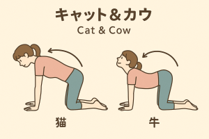 カウキャット
